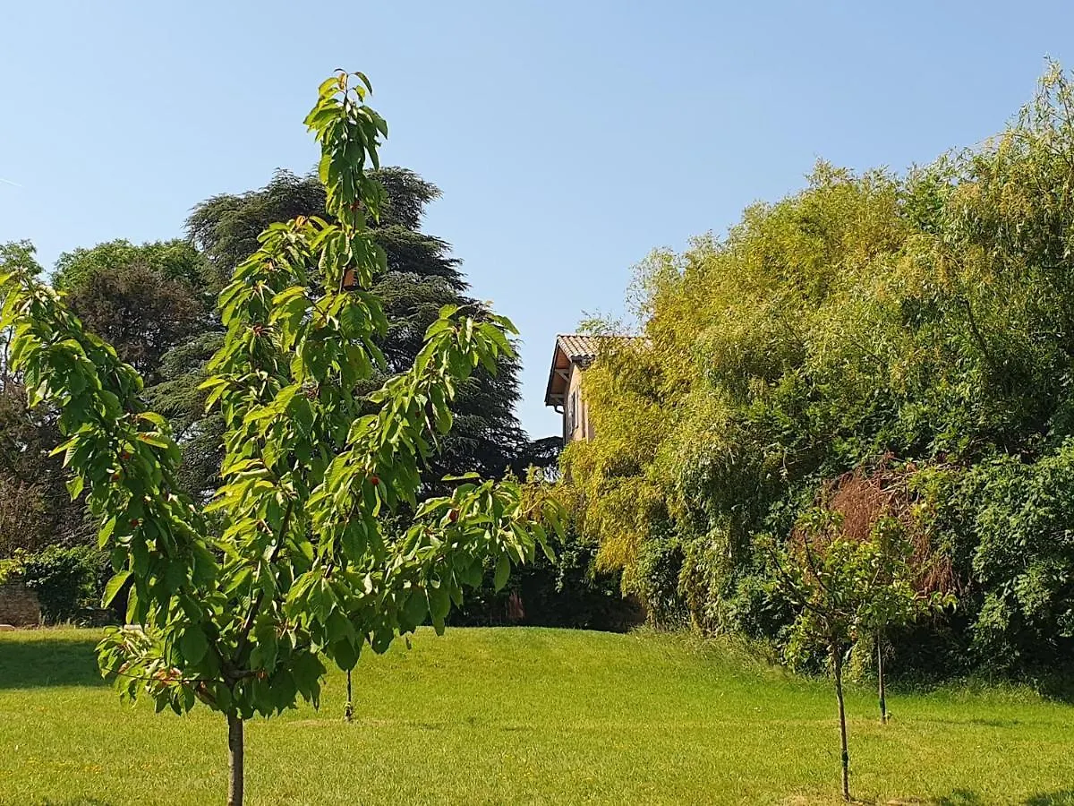 Douceurs Des Vignes Du Vivian Villa Denicé Feriehus