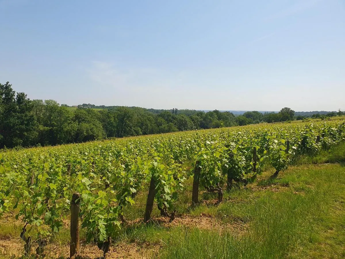 Feriehus Douceurs Des Vignes Du Vivian Villa Denicé Frankrig